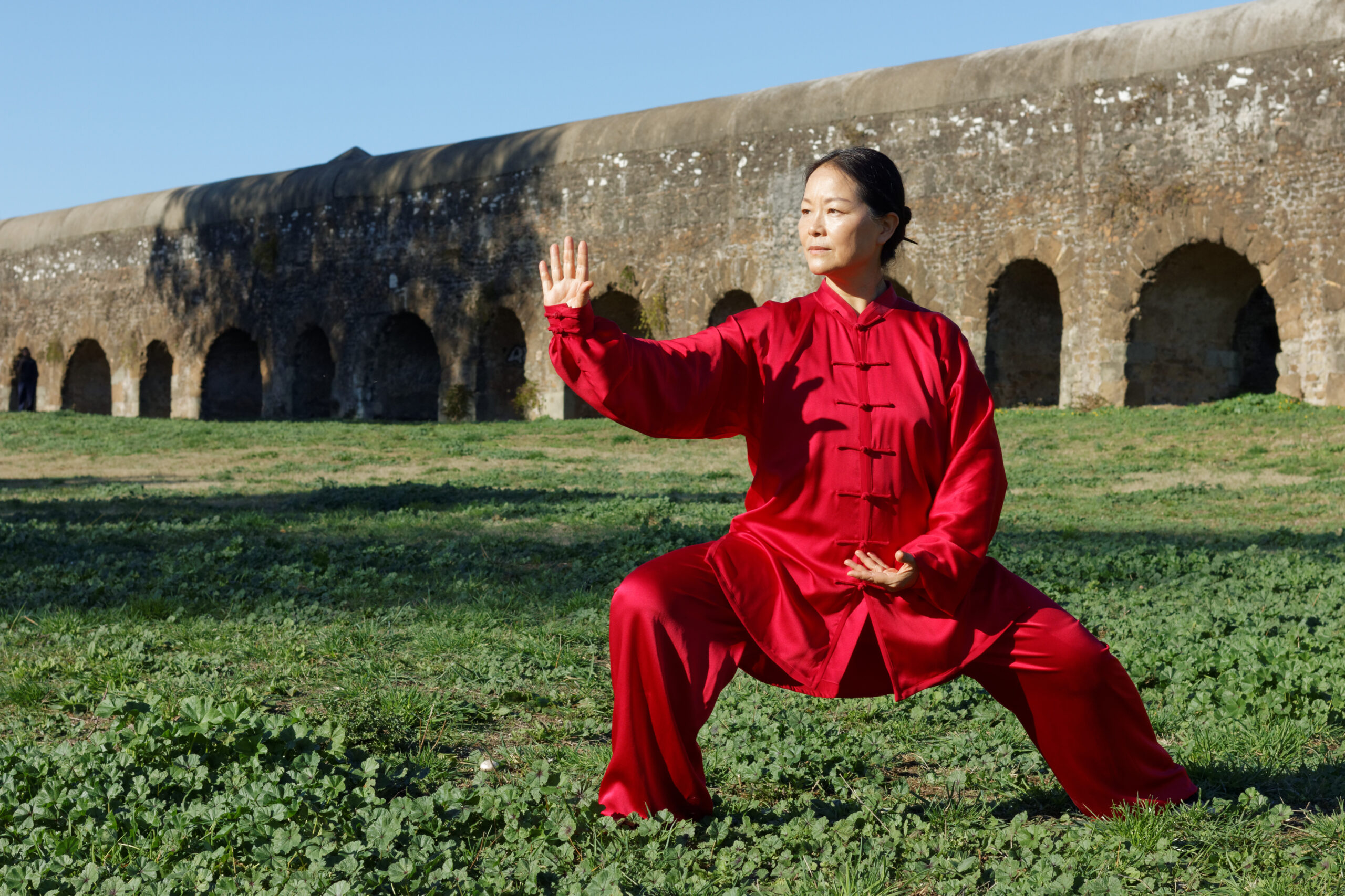 Taiji Chen fondamentali e Qi Gong online